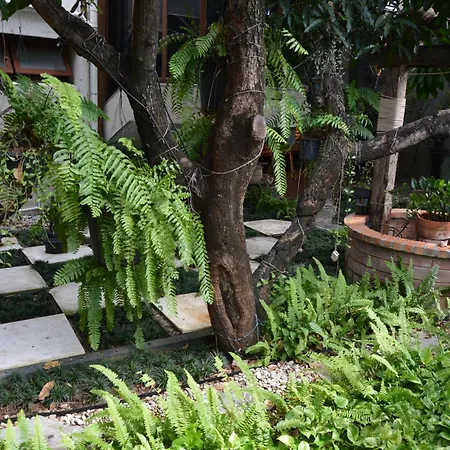 Narra House Sukhumvit58